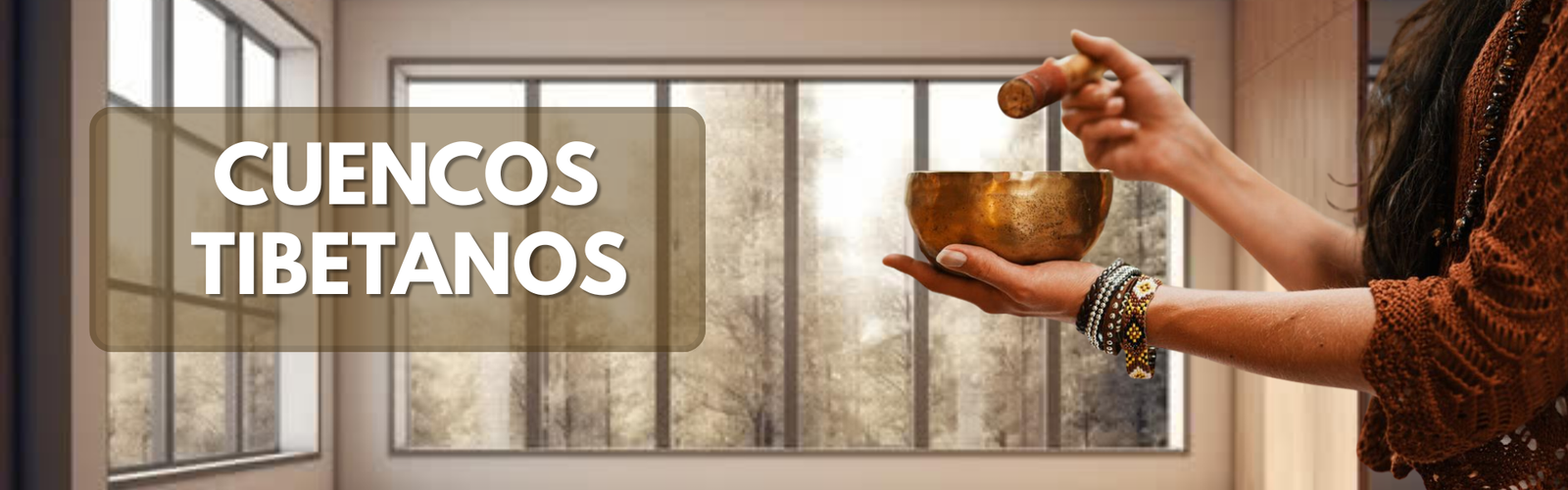 Texto del párrafo (6)