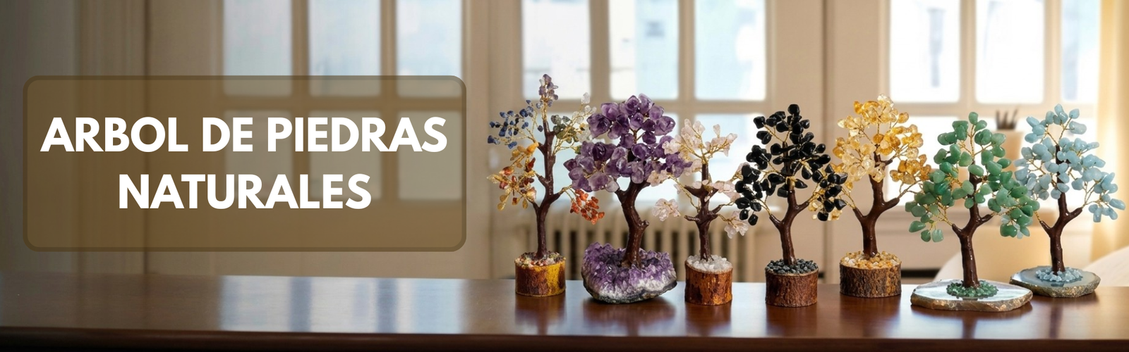 Texto del párrafo (9)