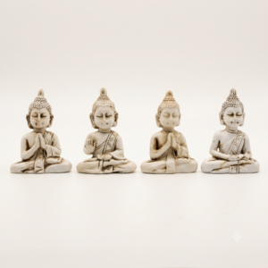 SAKKIAMONI X 4 SET RESINA