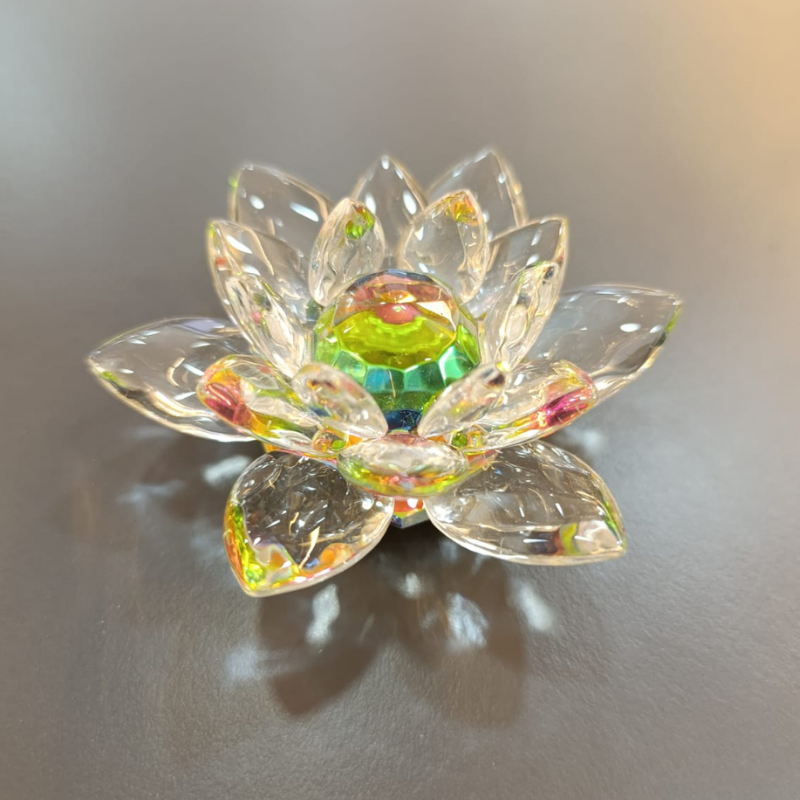 FLOR DE LOTO TORNASOLADA MEDIANA